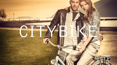 veloclusive-menu imagelink-bicycle-citybike